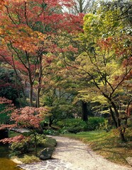 garden, japanese, horticulture, japanese garden, nature, vegetation, trees, plants, path,  © VisualEyze