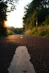 Sunny bike road and cycle lane in Holland