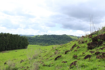 Morro de pedras e grama