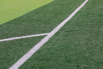 Fototapeta premium The white line is on the green lawn