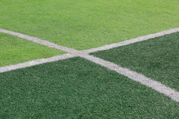 The white line is on the green lawn