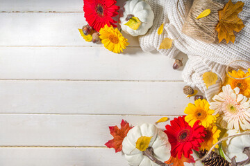 Autumn Seasonal Flowers and Decor Background. White wooden table with pumpkins, red, yellow and orange gerbera flowers, fall leaves. Thanksgiving day, Halloween greeting card, festive composition