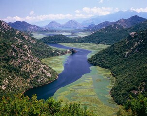 montenegro, skutari lake, vegetation, water lilies, overview, 