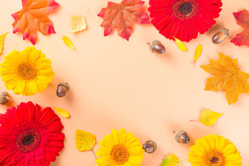 Autumn Seasonal Flowers and Decor Background  with pumpkins, red, yellow and orange gerbera flowers, fall leaves. Thanksgiving day, Halloween greeting card, festive frame composition