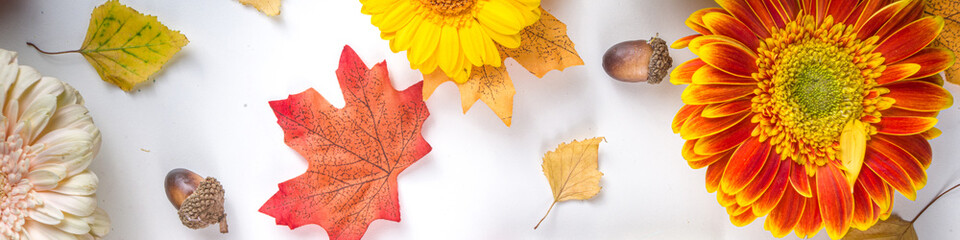 Autumn colors background, happy bright fall concept. Red paint brush with colorful autumn leaves and gerbera flowers, red yellow orange, creative flatlay greeting card on white background