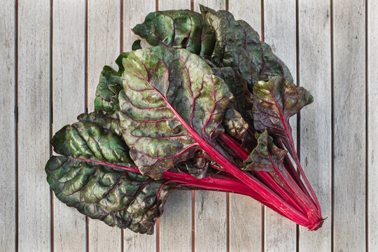 Freshly harvested Swiss chard laying on a wooden table outside