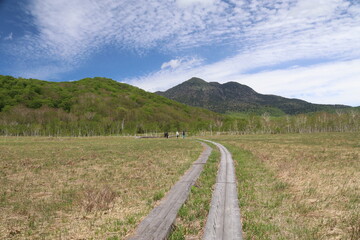 尾瀬/6月。　まだ水芭蕉が咲き残る初夏の尾瀬ヶ原。燧岳に向かって続く木道。	
