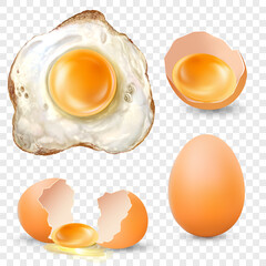 Realistic fried egg, Broken, Fresh and whole brown chicken egg vector EPS10