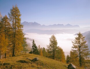 autumn landscape, mountains, fog, season, autumn, autumnal, landscape, mountain landscape, conifers, larches, nature, trees, seasons, silence, calm, valley, cloud cover, 