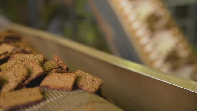 Crackers in production. a factory for the production of rusks from bread. Bread on the conveyor. Crackers production.