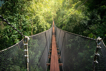 Suspension bridge, walkway to the adventurous, cross to the other side.