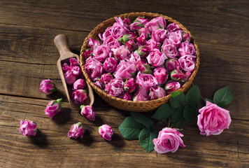 Buds of the tea roses in basket