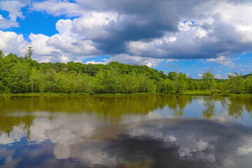 Obraz na płótnie Canvas a breathtaking shot of vast lake water surrounded by lush green trees and plants reflecting off the water with blue sky and clouds on the Doll's Head Trail at Constitution Lakes in Atlanta Georgia