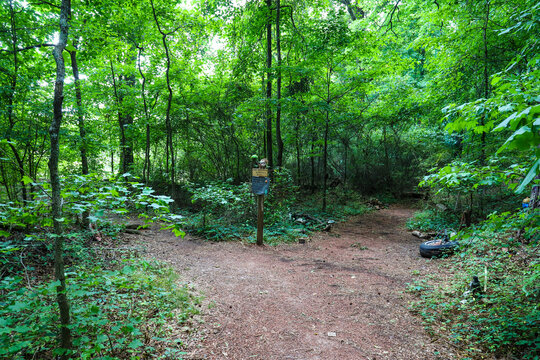 a dirt footpath in the forest with a sign and a doll head on top surrounded by lush green trees on the Doll's Head Trail at Constitution Lakes in Atlanta Georgia