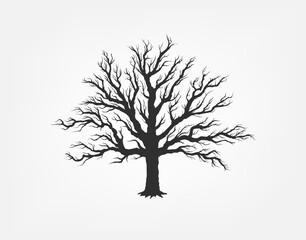 set of dried branches of trees with their names