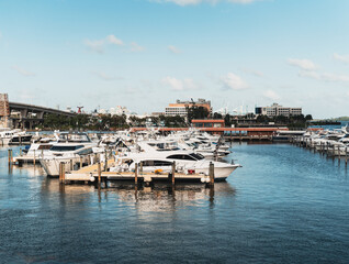 Fototapeta na wymiar boats in marina Downtown miami florida travel sky blue summer 