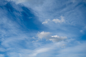 Delicate white clouds in a light blue sky. Clouds only.  
