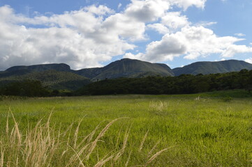 Campo Verde