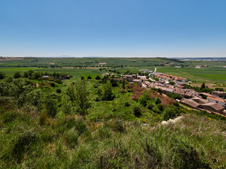 Fototapeta na wymiar Campos de trigo verde en Castilla, Burgos