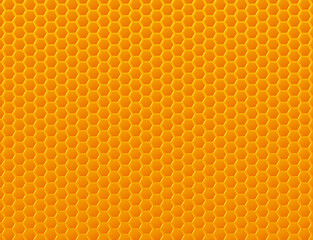 FOND GRAPHIQUE ALVEOLES