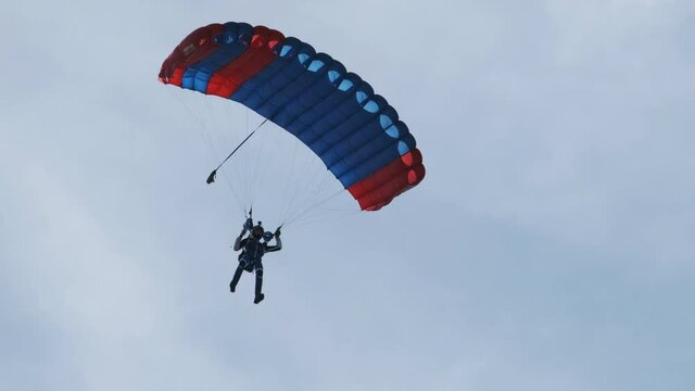 The parachutist flying and lands on the ground in the field. View from ground. Skydiver flying with parachute against the sky. Extreme sport. 4K.
