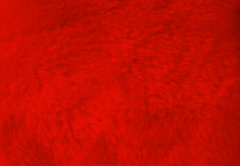 Red fur background close up view.