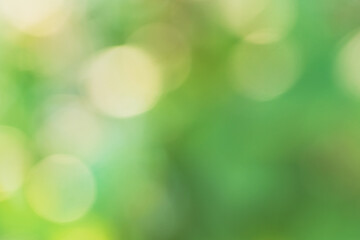 Obraz premium Hintergrund grün mit Lichtreflektion oben links