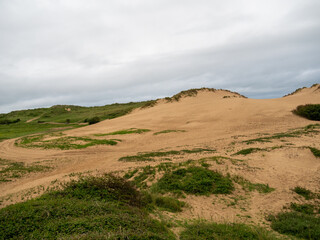 View of Braunton Burrows - SSSI in North Devon and part of Biosphere.