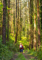 Obraz premium A young father with a hat and with his son in his backpack and looking at the pine trees in the woods, hiker lifestyle concept, copy and paste space, forests of the Basque country. Spain