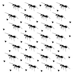 vector ant pattern isolated background illustration 