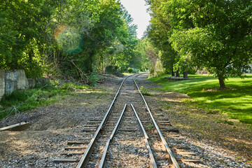 Fototapeta premium Train tracks into forest