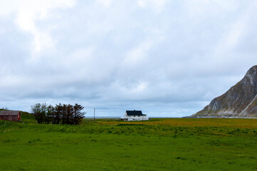 Obraz premium Norwegian fjord landscapes from the mountains and the sea