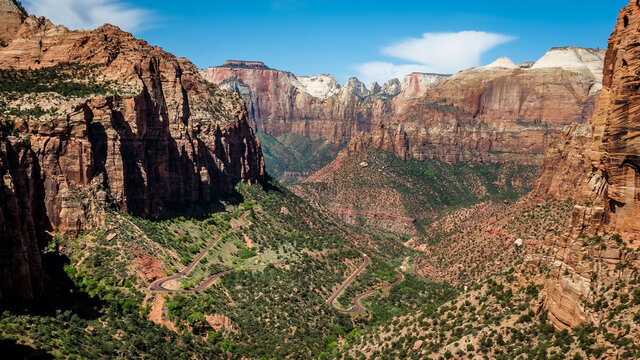 ZIon0010