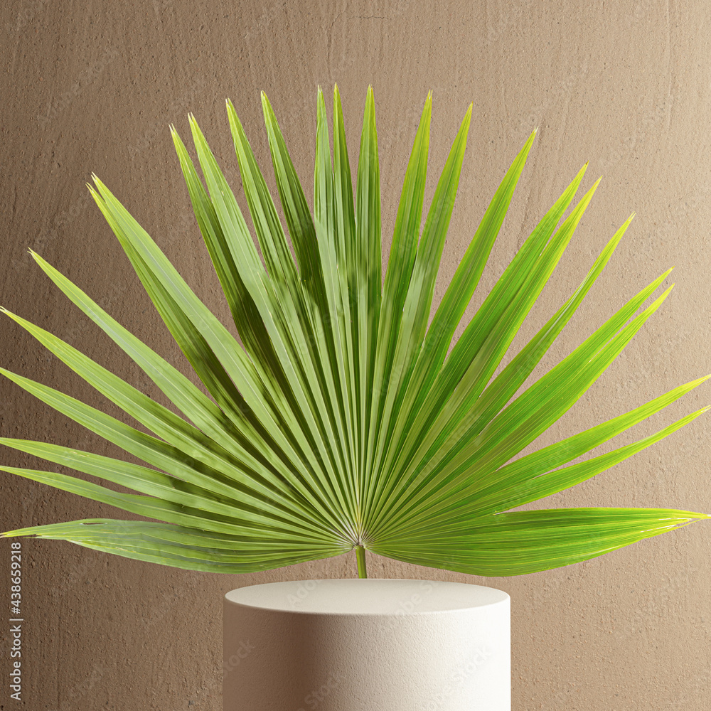 Poster windmill palm leaf and podium for product presentation background 3d rendering. tropical leaf and cy