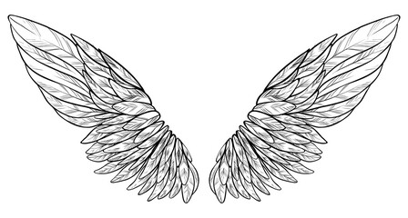 Beautiful white spreaded angel wings, monochrome vector