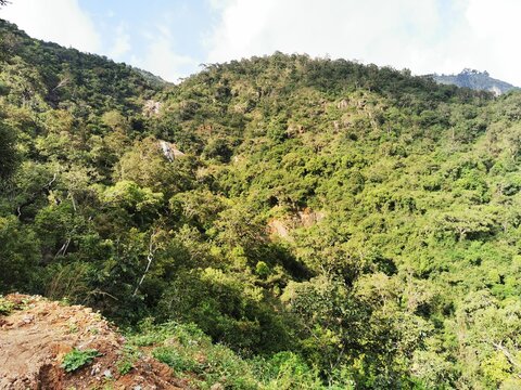 Manjoor or manjur mountain valley, Tamilnadu, India.