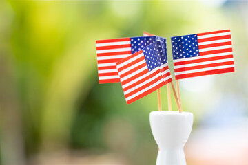 American flag with a toothpick on green background outdoors