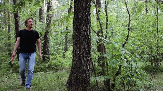 A poacher lumberjack cuts down a tree in the fores