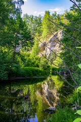 Mountain river with green forest on its banks