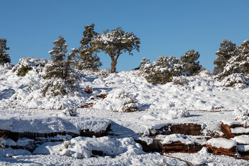 Snow Covered Landscape Sedona Arizona in Winter