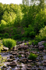 Obraz premium Mountain river with green forest on its banks