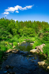 Naklejka na ściany i meble Mountain river with green forest on its banks