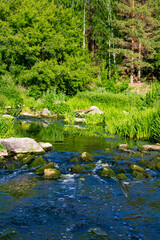 Naklejka na ściany i meble Mountain river with green forest on its banks