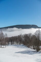 Winter landscape scene with bare trees and deep snow covered ground under a clear blue sky with mountains and fog in the distance