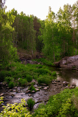 Mountain river with green forest on its banks