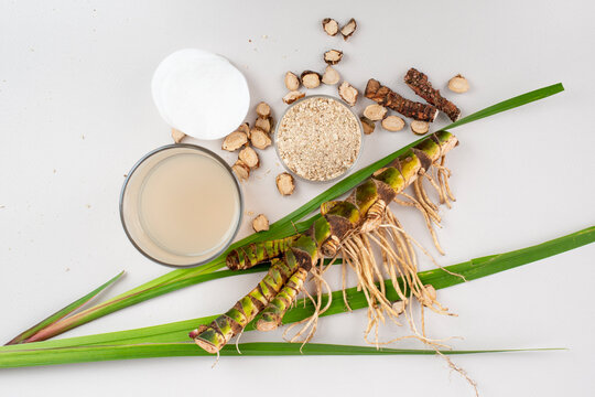 Fresh and dried Acorus calamus roots, also known as sweet flag, calamus leaves and powder, tonic for skin and hair.