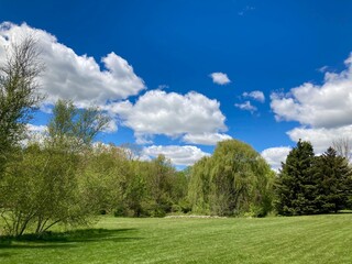 landscape with blue sky and clouds