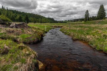 Rolava river with fresh meadows and forests in spring day