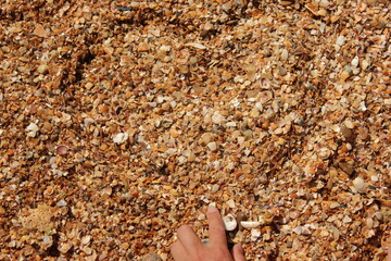 Heart on the beach in the sand with small stones and seashells. The hand draws a heart. Empty sunny beach with a heart on the sand. Ideal for love stories.