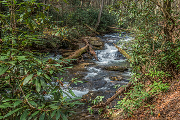 Cascading river flowing through the forest